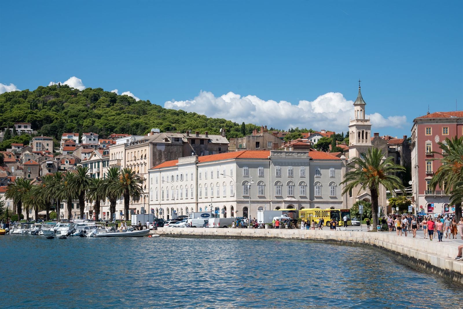 Palm-lined waterfront promenade in Split with moored boats, a church bell tower and a wooded hill